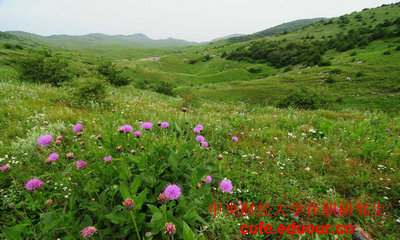 中國財(cái)經(jīng)大學(xué)在職研究生可以不考試么？